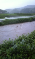 f:id:nupuri:20100620162103j:image f:id:nupuri:20100620162103j:image