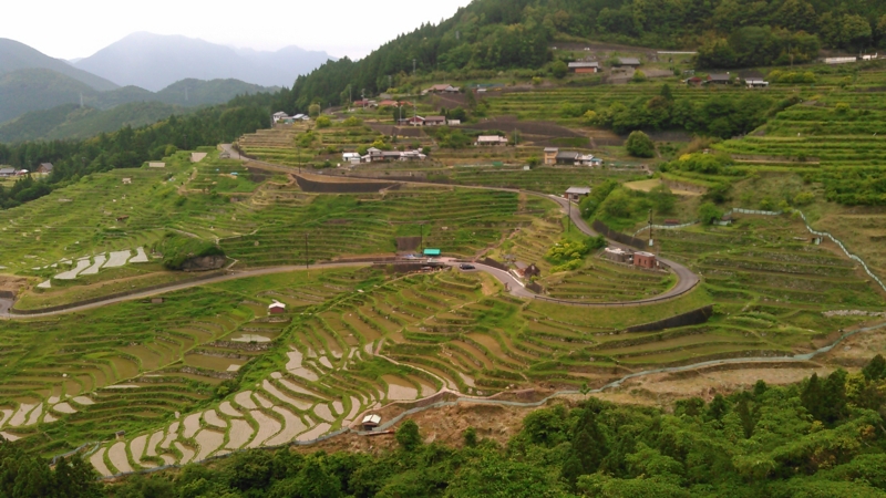 f:id:nupuri:20150529122741j:plain f:id:nupuri:20150529122741j:plain