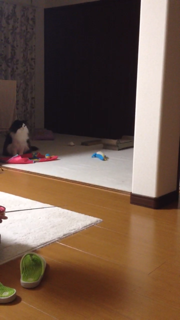 f:id:nvtomo:20140509182310j:plain f:id:nvtomo:20140509182310j:plain