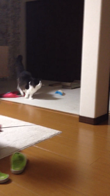 f:id:nvtomo:20140509182332j:plain f:id:nvtomo:20140509182332j:plain