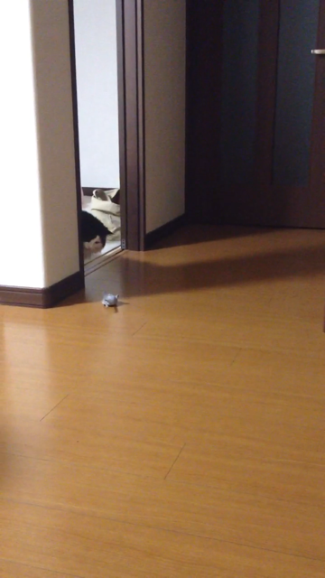 f:id:nvtomo:20140509182405j:plain f:id:nvtomo:20140509182405j:plain
