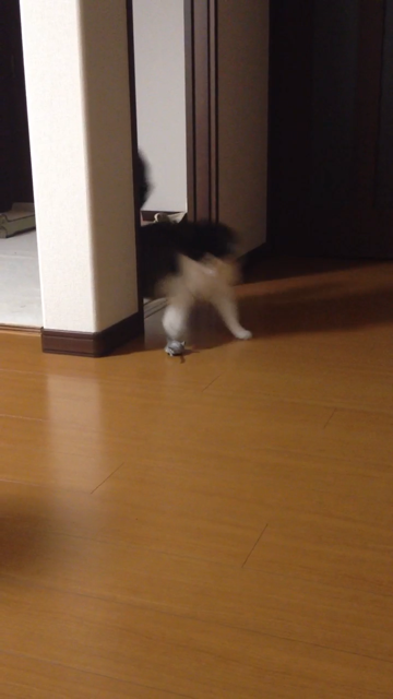 f:id:nvtomo:20140509224948j:plain f:id:nvtomo:20140509224948j:plain