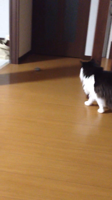 f:id:nvtomo:20140509225034j:plain f:id:nvtomo:20140509225034j:plain