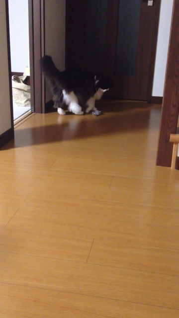 f:id:nvtomo:20140509225123j:plain f:id:nvtomo:20140509225123j:plain