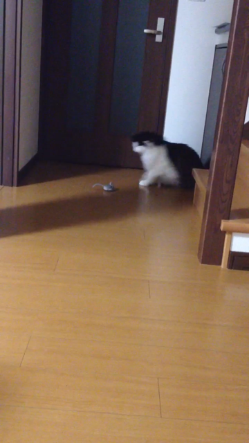 f:id:nvtomo:20140509225305j:plain f:id:nvtomo:20140509225305j:plain