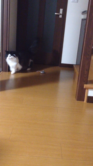 f:id:nvtomo:20140509225341j:plain f:id:nvtomo:20140509225341j:plain