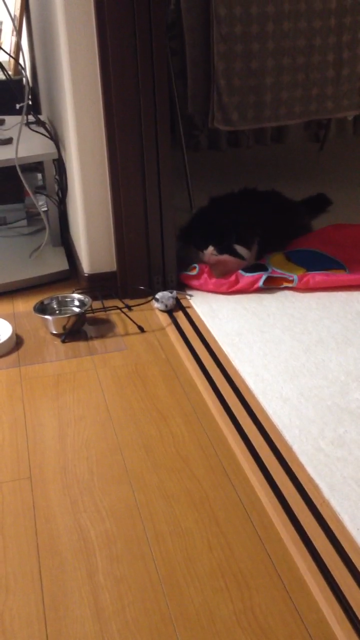 f:id:nvtomo:20140516210648j:plain f:id:nvtomo:20140516210648j:plain