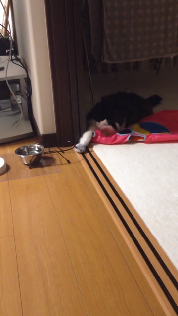 f:id:nvtomo:20140516210659j:plain f:id:nvtomo:20140516210659j:plain