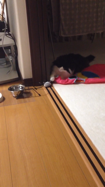 f:id:nvtomo:20140516210712j:plain f:id:nvtomo:20140516210712j:plain