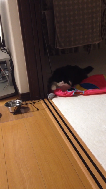 f:id:nvtomo:20140516210723j:plain f:id:nvtomo:20140516210723j:plain