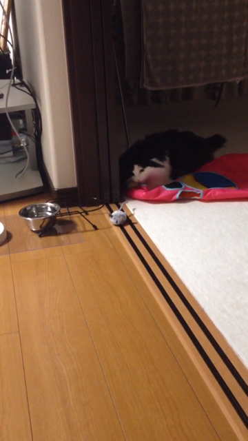 f:id:nvtomo:20140516210747j:plain f:id:nvtomo:20140516210747j:plain