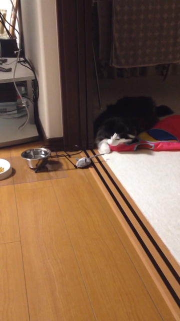 f:id:nvtomo:20140516210822j:plain f:id:nvtomo:20140516210822j:plain