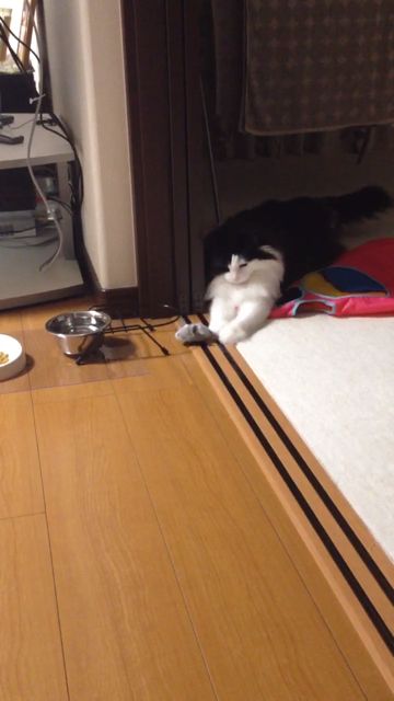 f:id:nvtomo:20140516210834j:plain f:id:nvtomo:20140516210834j:plain