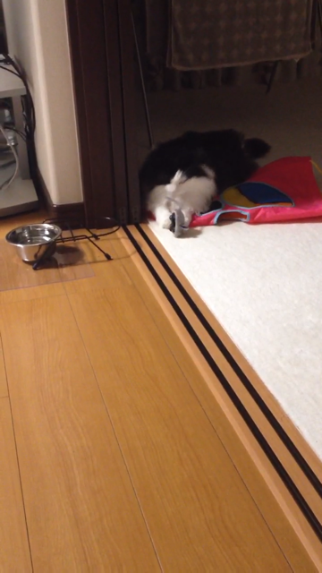 f:id:nvtomo:20140516211123j:plain f:id:nvtomo:20140516211123j:plain