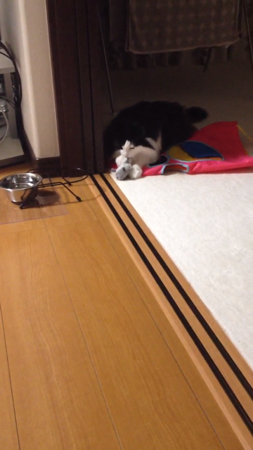 f:id:nvtomo:20140516211136j:plain f:id:nvtomo:20140516211136j:plain