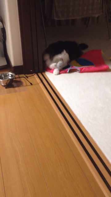 f:id:nvtomo:20140516211151j:plain f:id:nvtomo:20140516211151j:plain