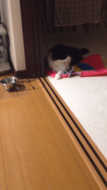 f:id:nvtomo:20140516211204j:plain f:id:nvtomo:20140516211204j:plain
