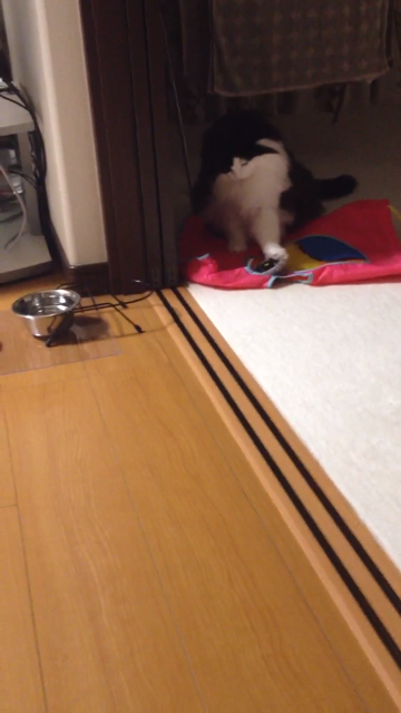 f:id:nvtomo:20140516211219j:plain f:id:nvtomo:20140516211219j:plain