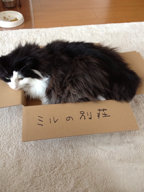 f:id:nvtomo:20140518135059j:plain f:id:nvtomo:20140518135059j:plain