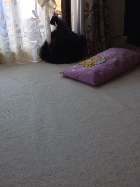 f:id:nvtomo:20140629133141j:plain f:id:nvtomo:20140629133141j:plain
