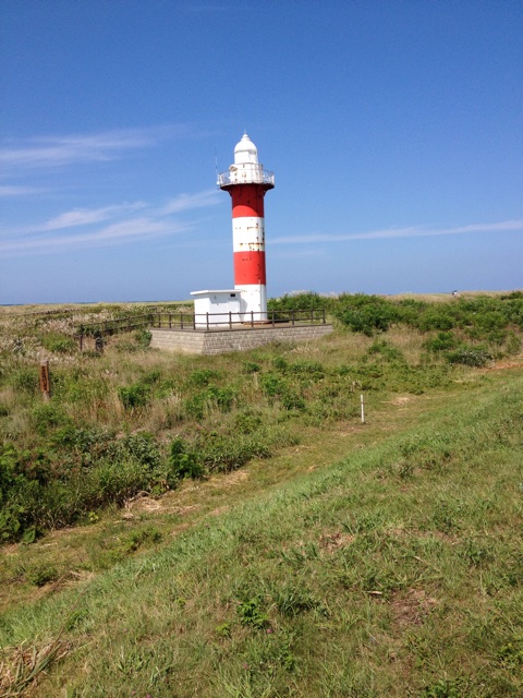 f:id:nvtomo:20140817172833j:plain f:id:nvtomo:20140817172833j:plain