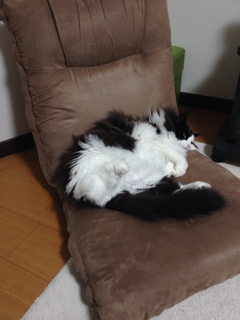 f:id:nvtomo:20140929123028j:plain f:id:nvtomo:20140929123028j:plain