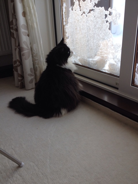 f:id:nvtomo:20150106182044j:plain f:id:nvtomo:20150106182044j:plain