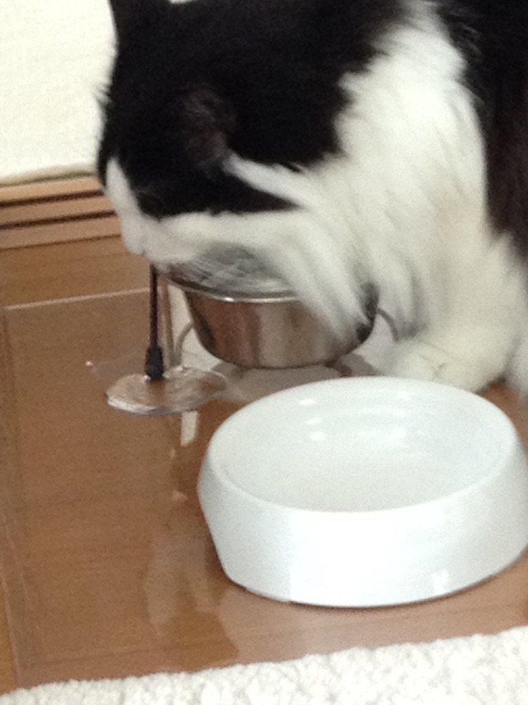 f:id:nvtomo:20151229223128j:image f:id:nvtomo:20151229223128j:image