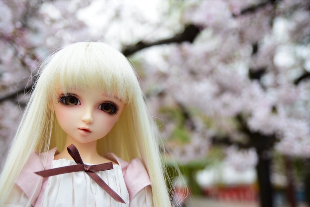 f:id:nyamoya:20160403101758j:image f:id:nyamoya:20160403101758j:image