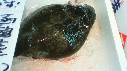 f:id:nyancotan:20120127175900j:plain f:id:nyancotan:20120127175900j:plain