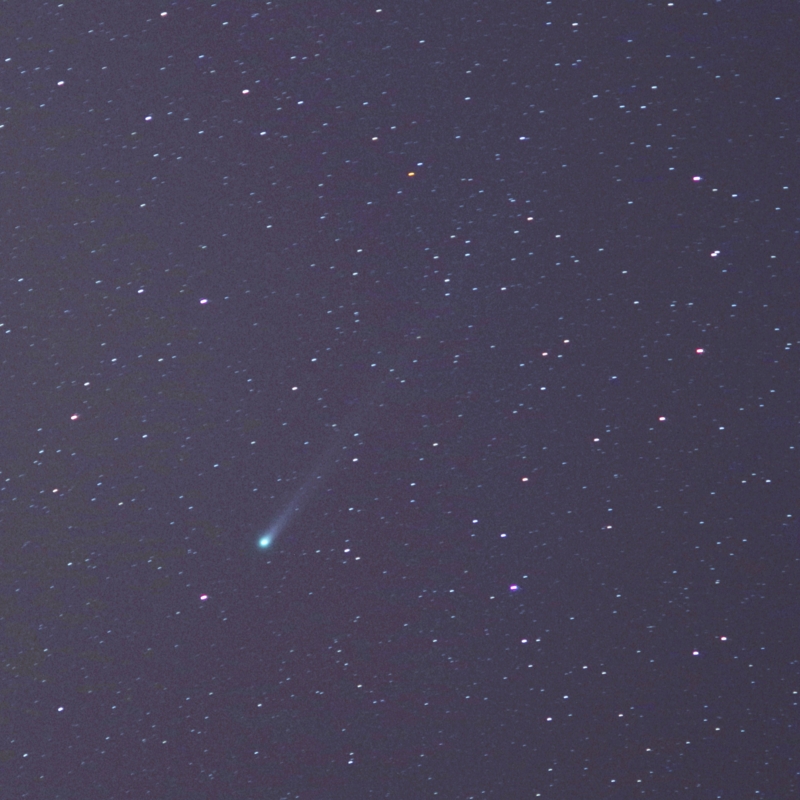 f:id:nyancotan:20131207041542j:plain f:id:nyancotan:20131207041542j:plain