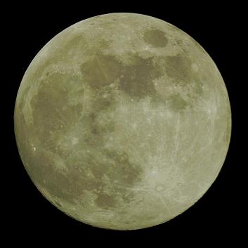 f:id:nyancotan:20131219072224j:plain f:id:nyancotan:20131219072224j:plain