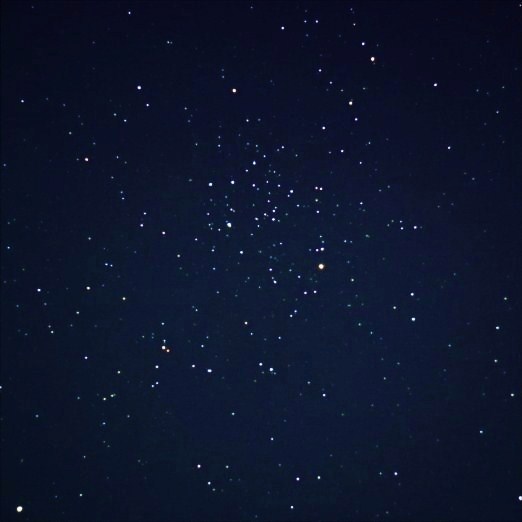 f:id:nyancotan:20140129195732j:plain f:id:nyancotan:20140129195732j:plain