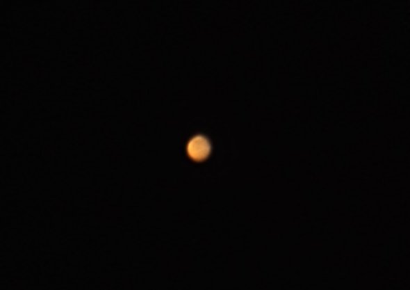 f:id:nyancotan:20140209181058j:plain f:id:nyancotan:20140209181058j:plain