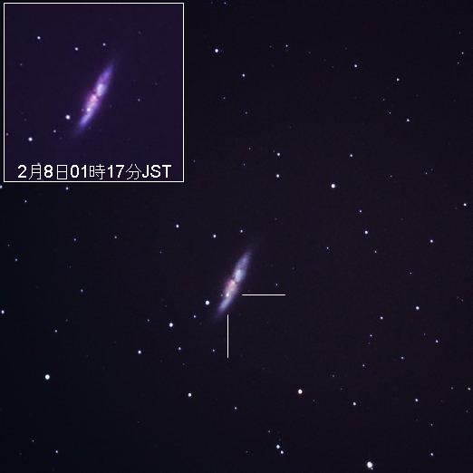 f:id:nyancotan:20140225175551j:plain f:id:nyancotan:20140225175551j:plain