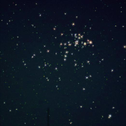 f:id:nyancotan:20140307152117j:plain f:id:nyancotan:20140307152117j:plain