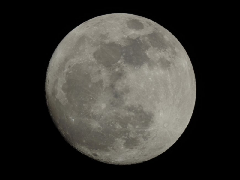 f:id:nyancotan:20140316004424j:plain f:id:nyancotan:20140316004424j:plain