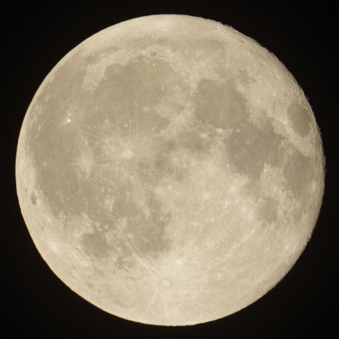 f:id:nyancotan:20140318094444j:plain f:id:nyancotan:20140318094444j:plain