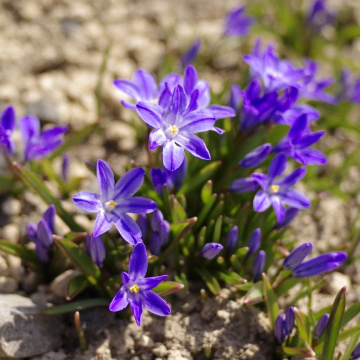 f:id:nyancotan:20140413171933j:plain f:id:nyancotan:20140413171933j:plain