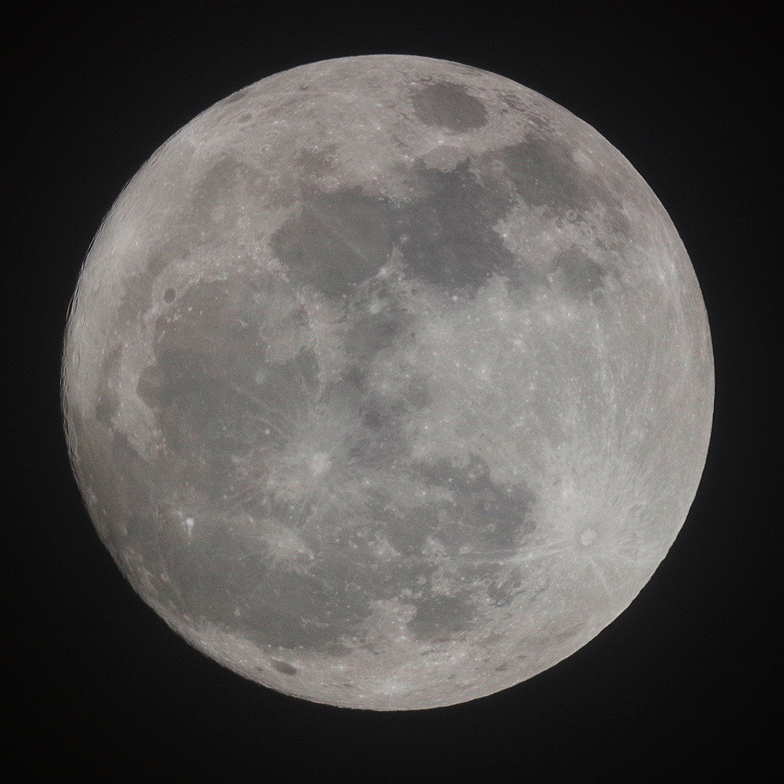 f:id:nyancotan:20140810173825j:plain f:id:nyancotan:20140810173825j:plain