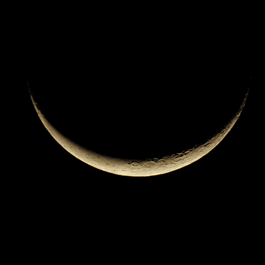f:id:nyancotan:20141120052134j:plain f:id:nyancotan:20141120052134j:plain