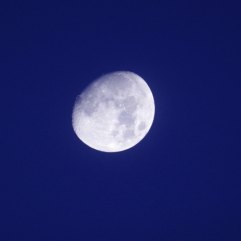 f:id:nyancotan:20141204064327j:plain f:id:nyancotan:20141204064327j:plain