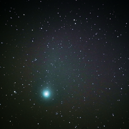 f:id:nyancotan:20141226154224j:plain f:id:nyancotan:20141226154224j:plain