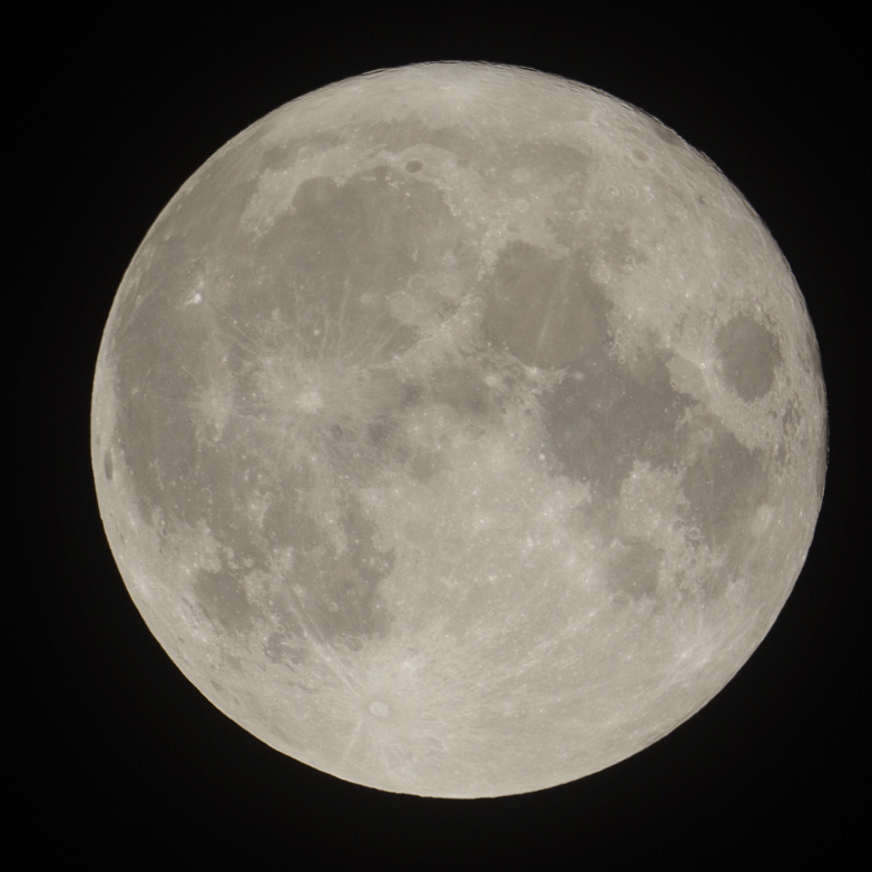 f:id:nyancotan:20150105195215j:plain f:id:nyancotan:20150105195215j:plain
