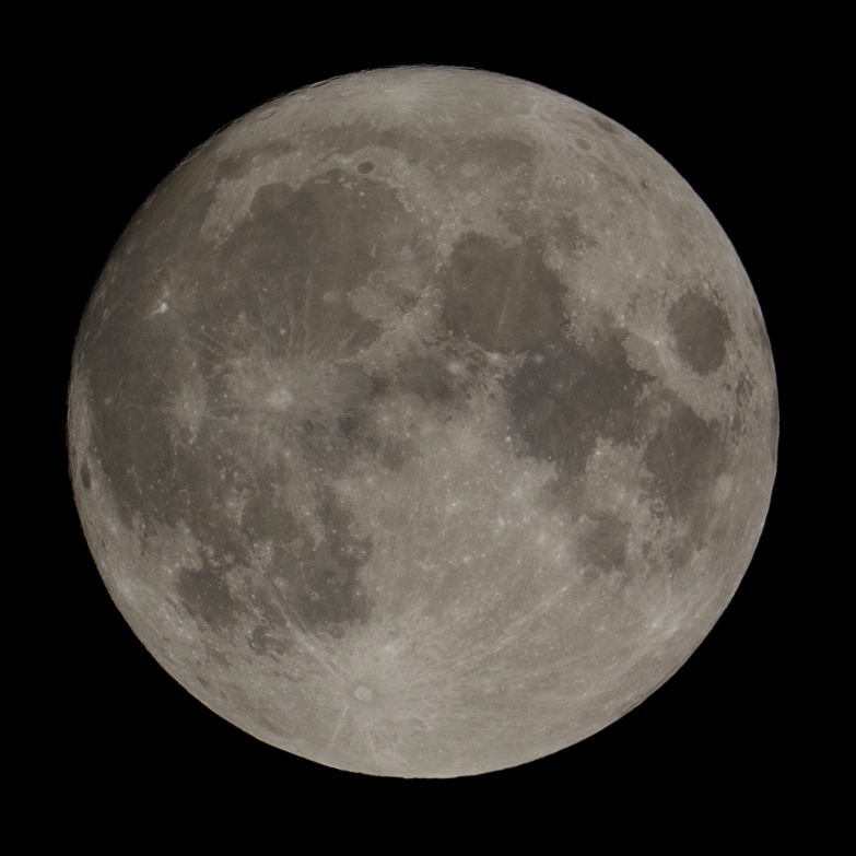 f:id:nyancotan:20150203193533j:plain f:id:nyancotan:20150203193533j:plain
