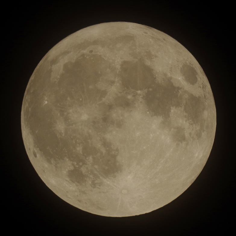 f:id:nyancotan:20150306025702j:plain f:id:nyancotan:20150306025702j:plain