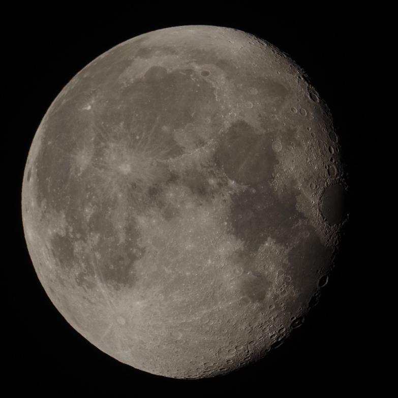 f:id:nyancotan:20151128211349j:plain f:id:nyancotan:20151128211349j:plain