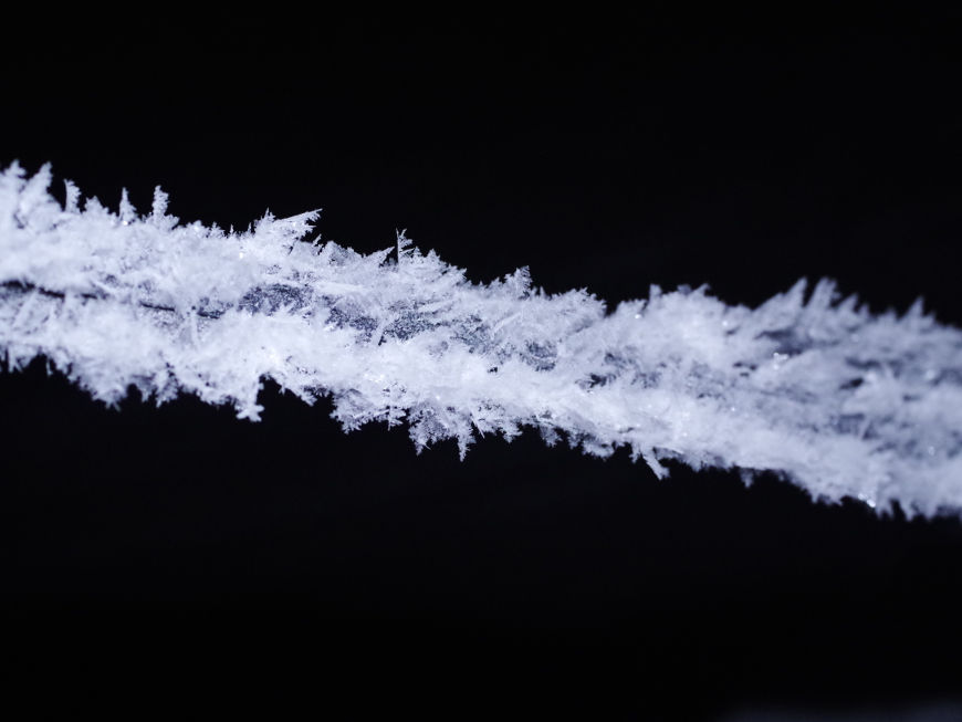 f:id:nyancotan:20160118004739j:plain f:id:nyancotan:20160118004739j:plain