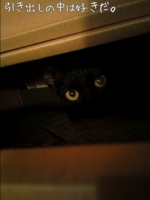 f:id:nyangoro:20120205220442j:image f:id:nyangoro:20120205220442j:image