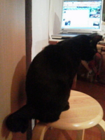 f:id:nyangoro:20120831190242j:image f:id:nyangoro:20120831190242j:image
